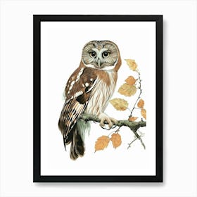 Northern Saw Whet Owl Vintage Illustration 3 Art Print