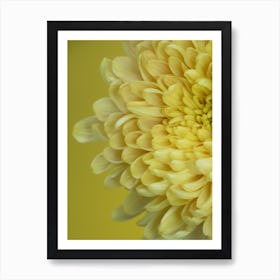 Yellow Flower Petals Art Print