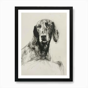 Bluetick Hound Dog Charcoal Line 4 Art Print