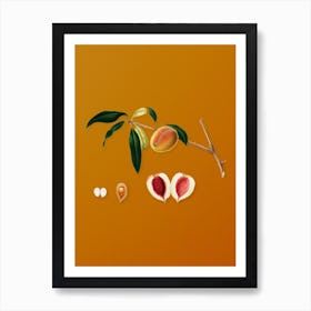 Vintage Peach Botanical on Sunset Orange n.0510 Art Print