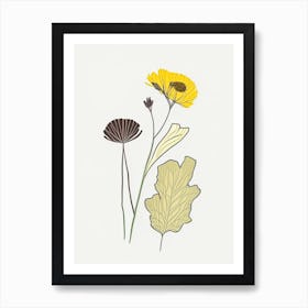 Coltsfoot Spices And Herbs Minimal Line Drawing 1 Art Print