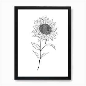 Sunflower Illustration Art Print