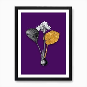 Vintage Cardwell Lily Black and White Gold Leaf Floral Art on Deep Violet n.0507 Art Print