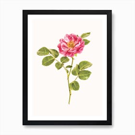 Roses VI Art Print