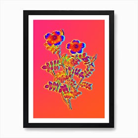 Neon Variegated Burnet Rose Botanical in Hot Pink and Electric Blue n.0075 Art Print