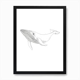 The Whale Art Print