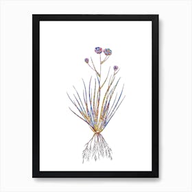Stained Glass Blue Corn Lily Mosaic Botanical Illustration on White n.0102 Art Print