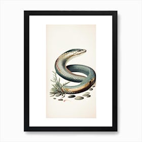 Beaked Sea Snake Vintage Art Print