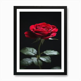 Red Rose On Black Background 49 Art Print