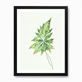 Nettle Leaf Minimalist Watercolour 2 Art Print