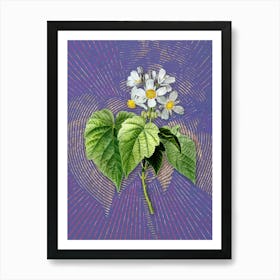 Vintage African Hemp Botanical Illustration on Veri Peri n.0218 Art Print