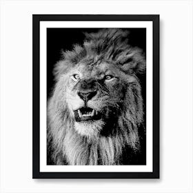 BW Close Up Lion in my Line Illustration Art Print