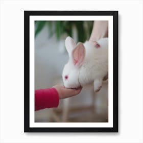 White Rabbit On A Woman'S Hand Art Print