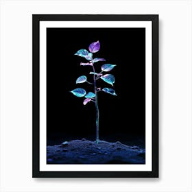 Plant In The Dark 11 Art Print