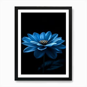 Blue Flower 8 Art Print