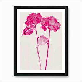 Hot Pink Hydrangea 1 Art Print