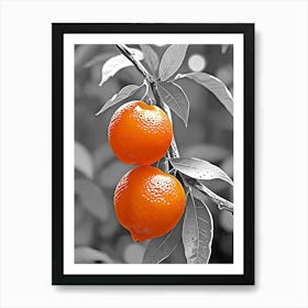 Two Oranges On A Tree Art Print