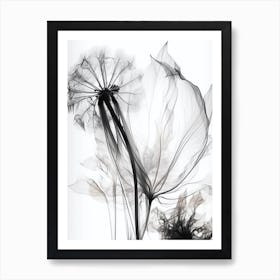 Black And White Flower Silhouette 4 Art Print