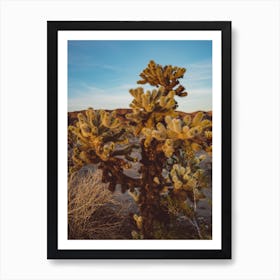 Cholla Cactus Garden Art Print