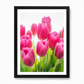 Floral tulips in neon pink - spring flower nature and travel photography by Christa Stroo Photography Art Print