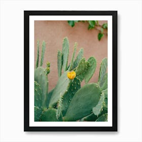 New Mexico Cactus on Film Art Print