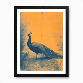 Blue & Orange Peacock In The Wild 1 Art Print