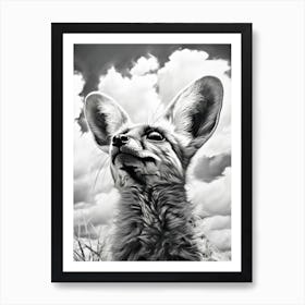 Bat Eared Fox Looking At The Sky Pencil Drawing 5 Art Print