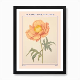 Peony French Flower Botanical Poster Art Print