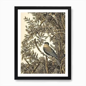 Cuckoo Haeckel Style Vintage Illustration Bird Art Print