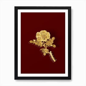 Vintage White Burnet Rose Botanical in Gold on Red n.0601 Art Print