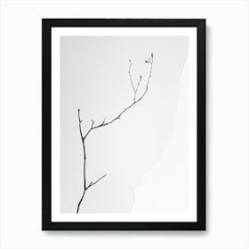 Bare Branch Art Print