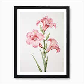 Gladiolus Flower Vintage Botanical 0 Art Print