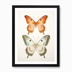 Two Butterflies Isolated On White Background Art Print