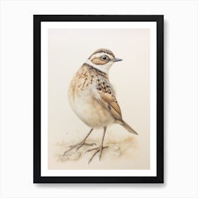 Vintage Bird Drawing Lark 2 Art Print