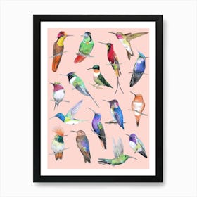 Hummingbirds On Pink Art Print