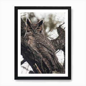 Rustic Great Horned Owl Art Print