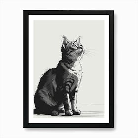 Black And White Drawing Of A Cat Art Print