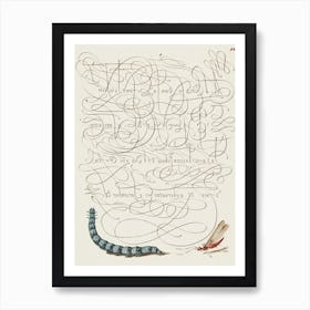 Caterpillar And Insect From Mira Calligraphiae Monumenta, Joris Hoefnagel Art Print