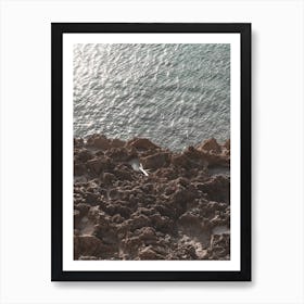Sunny Sea With Rocks Art Print