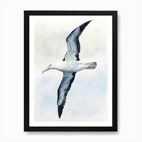 Bird In Flight Colorful Illustration Art Print