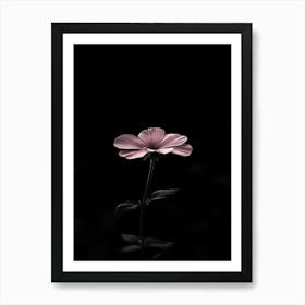 Single Pink Flower Art Print