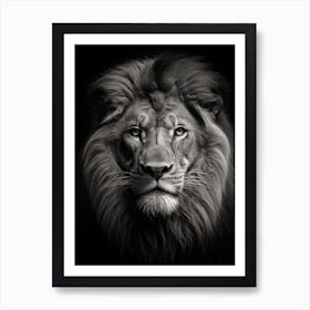 Black And White Photograph Of A Lion Art Print