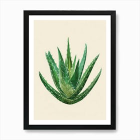 Aloe Vera Plant Minimalist Illustration 6 Art Print