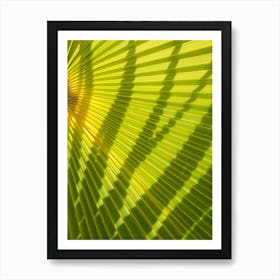 Green palm leaf and shadows Art Print