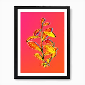 Neon Grey Willow Botanical in Hot Pink and Electric Blue n.0046 Art Print
