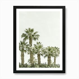 Tropical Palm Trees Art Print