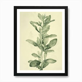 Jade Plant Minimalist Block Print 5 Art Print