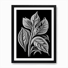 Sweet Almond Leaf Linocut 2 Art Print
