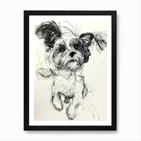 Biewer Terrier Dog Line Sketch Art Print