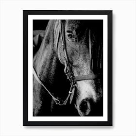 Horse Line Art Art Print